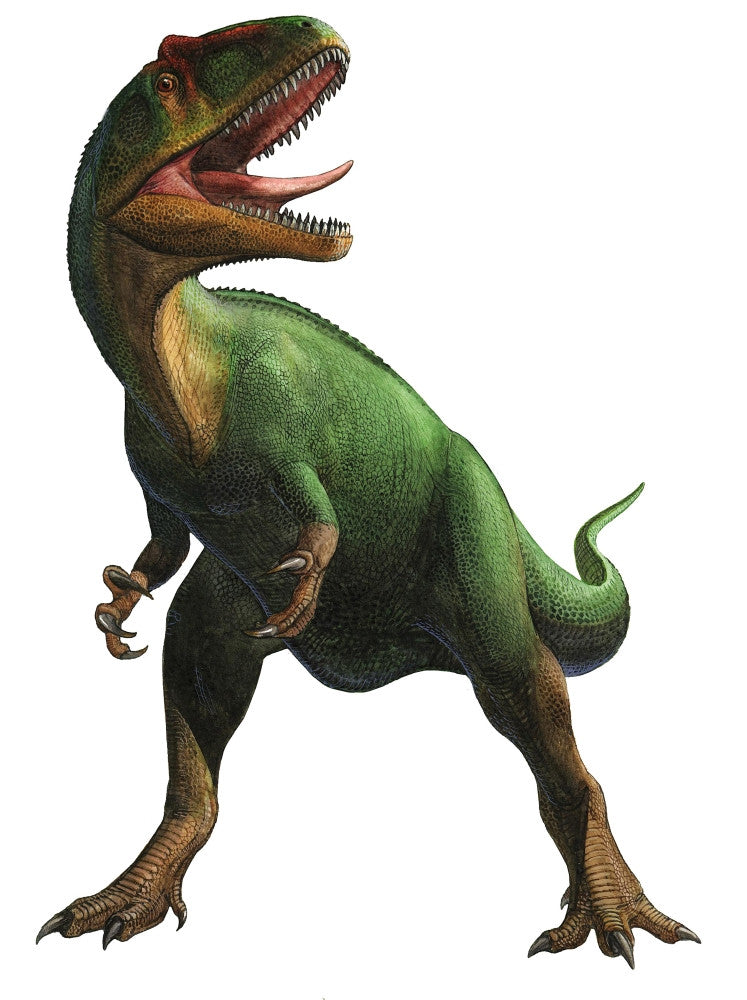 Saurophaganax Maximus Dinosaur Fine Art Print - Late Jurassic Era
