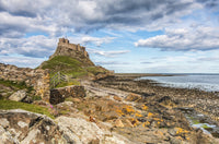 Rocky Outcrop Leading to Holy Island Castle Art Print by Carol McKay