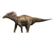 Amargasaurus Dinosaur Fine Art Print - Early Cretaceous Period