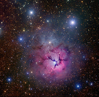 The Trifid Nebula Fine Art Print by Robert Gendler | Stocktrek Images