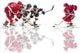 Ice Hockey 1 Fine Art Print by The Macneil Studio (36x24)