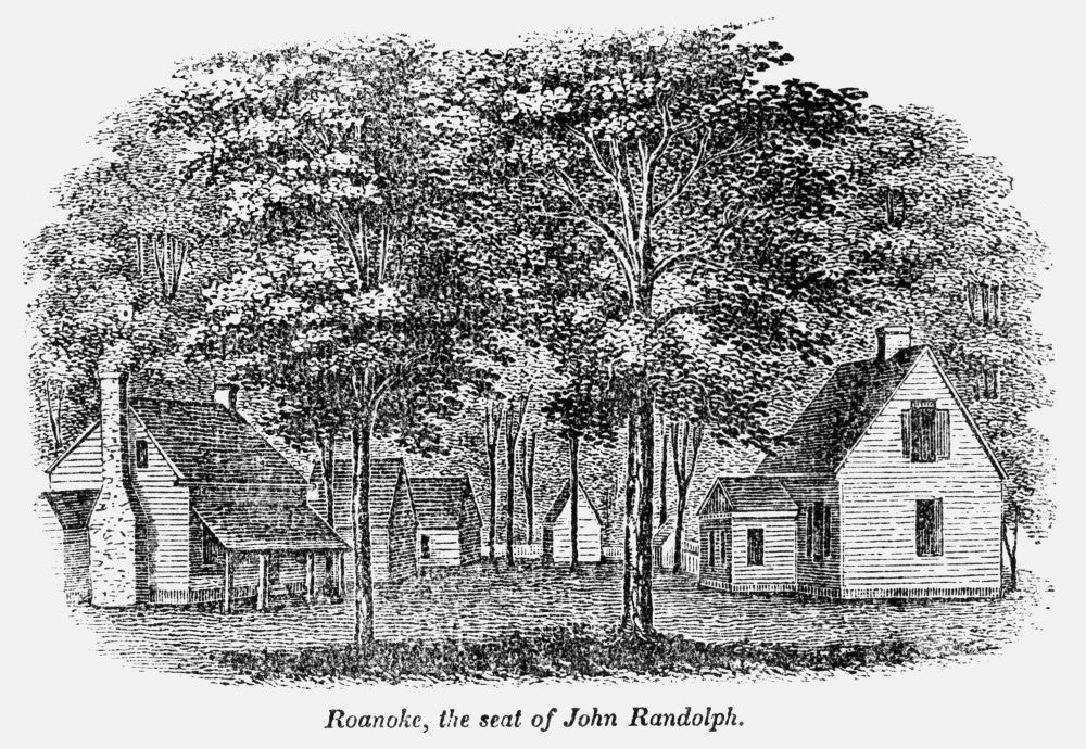 Roanoke, Virginia Wood Engraving Fine Art Print - 1856