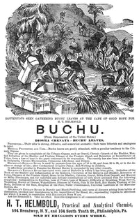 Buchu Leaves Engraving Poster Print - 1871 Advertisement
