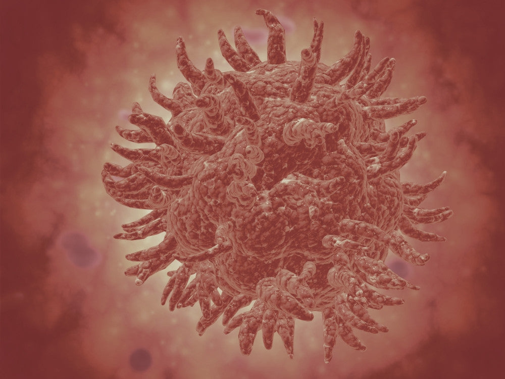 Microscopic View of Yellow Fever Virus Fine Art Print