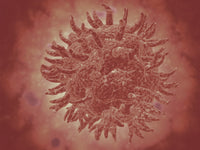 Microscopic View of Yellow Fever Virus Fine Art Print