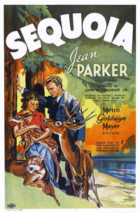 Sequoia U Movie Poster Art Print - 1934 Classic Film