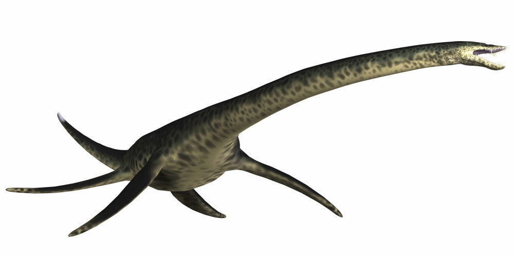 Styxosaurus Cretaceous Period Poster Print - Fine Art