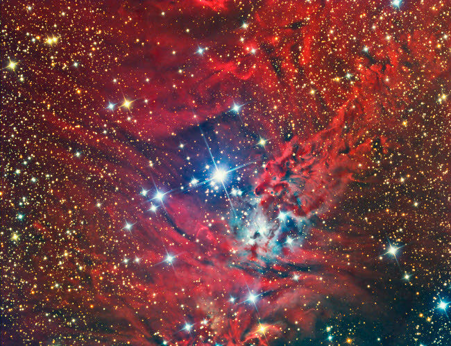 NGC 2264 Christmas Tree Cluster Nebula Fine Art Print by Reinhold Wittich