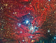 NGC 2264 Christmas Tree Cluster Nebula Fine Art Print by Reinhold Wittich