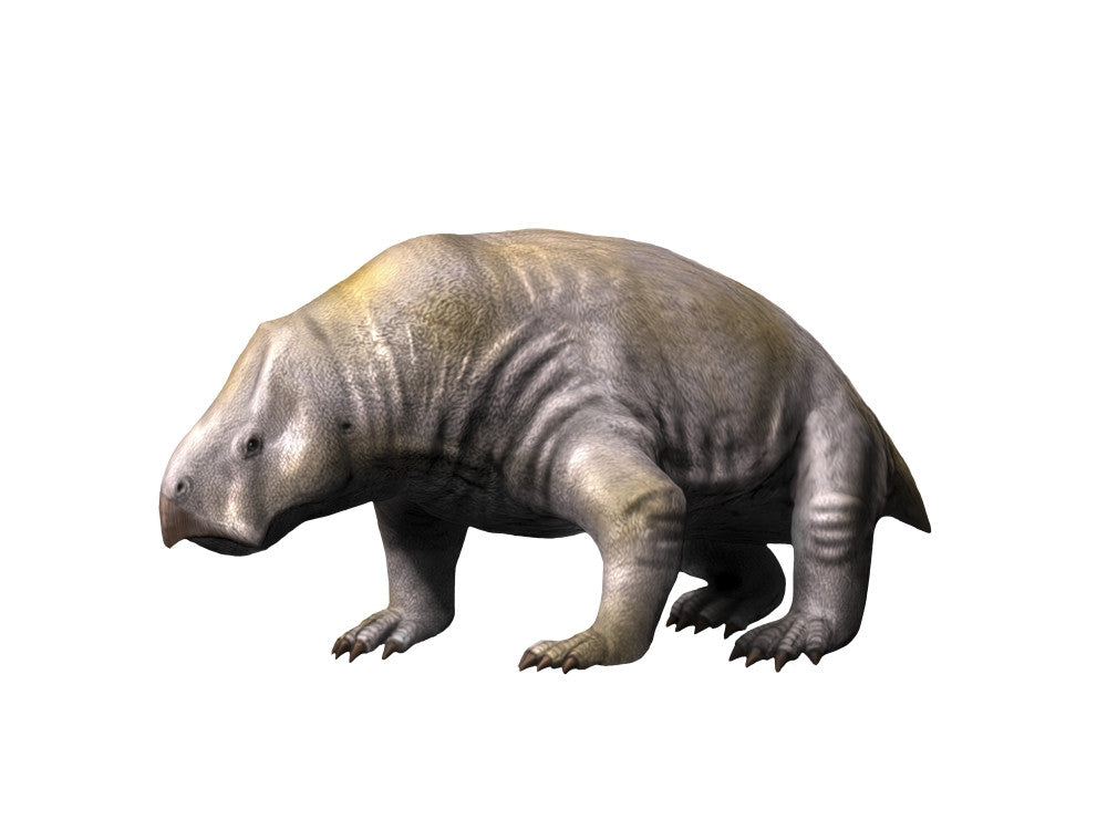 Ischigualastia Dicynodont Fine Art Print - Late Triassic Period