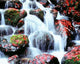 Waterfalls in Kyoto, Japan Photo Print by Panoramic Images