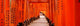 Tunnel of Torii Gates at Fushimi Inari Shrine Poster Print by Panoramic Images
