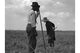 Cotton Sharecroppers Fine Art Print by Dorothea Lange