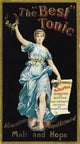 19th Century American Patent Medicine Label Art Print