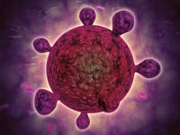 Microscopic View of a Microbe Fine Art Print - StockTrek Images