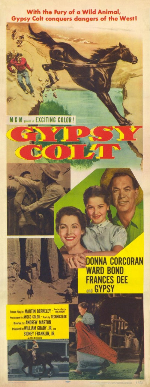 Gypsy Colt Movie Poster Print | 27 x 40 | Posterazzi