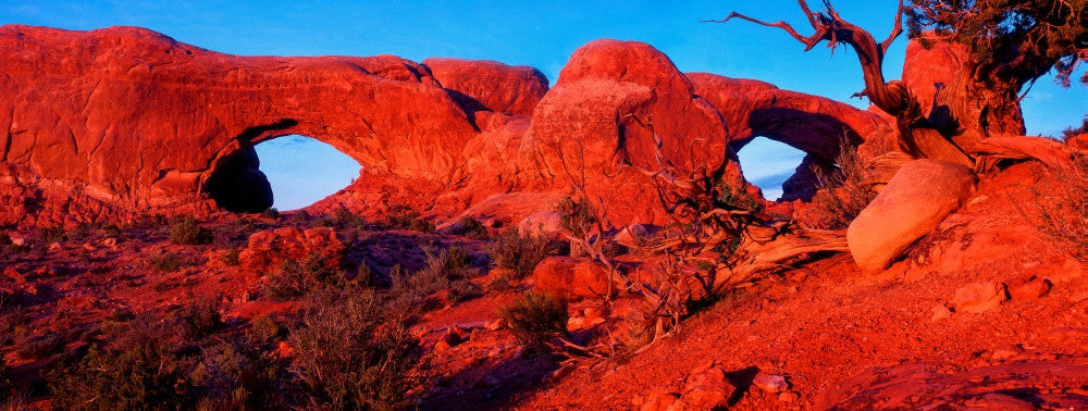 Natural Arches at Arches National Park Fine Art Print by Panoramic Images