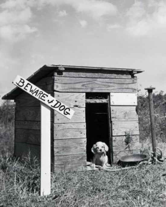 Puppy in a Dog House Fine Art Print - Multiple Sizes Available