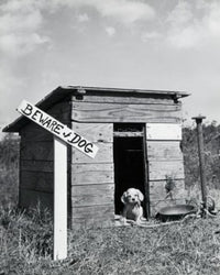 Puppy in a Dog House Fine Art Print - Multiple Sizes Available