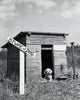 Puppy in a Dog House Fine Art Print - Multiple Sizes Available