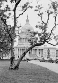 US Capitol Building Fine Art Print - Various Sizes Available