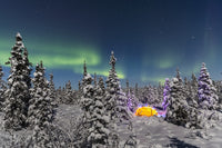 Aurora Borealis Winter Night Fine Art Print by Kevin G. Smith