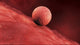 Biomedical Embryo Implantation Illustration Fine Art Print