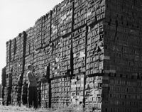 Man Examining Bricks in a Brickyard Fine Art Print