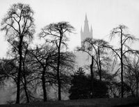 Scotland Glasgow University Silhouette Trees Poster Print