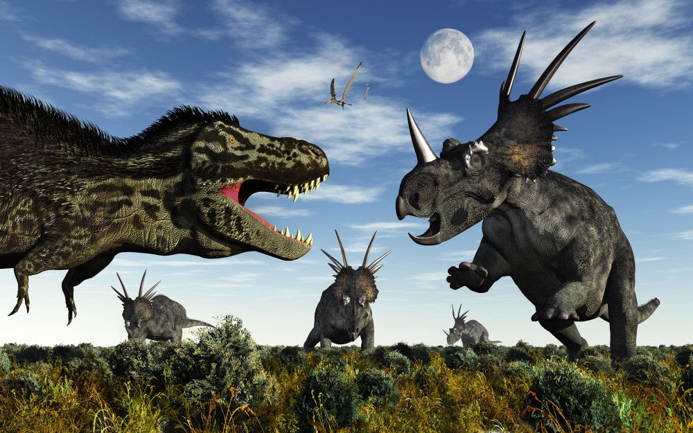Styracosaurus vs. Tyrannosaurus Rex Fine Art Print