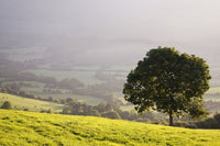County Waterford Landscape Poster Print Near Croaghaun by The Irish Image Collection