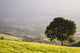 County Waterford Landscape Poster Print Near Croaghaun by The Irish Image Collection