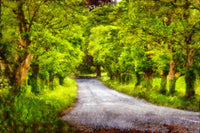 Serene Road Through Lush Green Trees Fine Art Print by 770 Productions