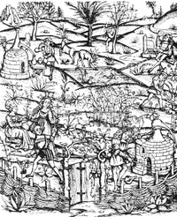 Medieval Herb Garden and Distillery Woodcut Print, C1500 by Granger Collection