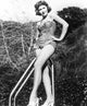Donna Reed Vintage Photo Print - Fine Art by Everett Collection