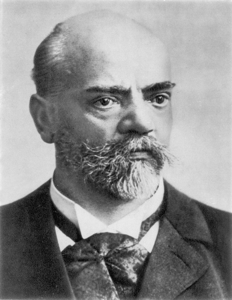 Antonin Dvorak Czech Composer Fine Art Print by Granger Collection