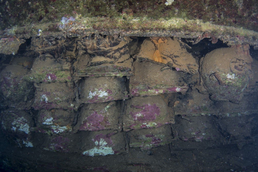 Land Mines on the San Francisco Maru Shipwreck Poster Print by Brandi Mueller