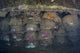 Land Mines on the San Francisco Maru Shipwreck Poster Print by Brandi Mueller
