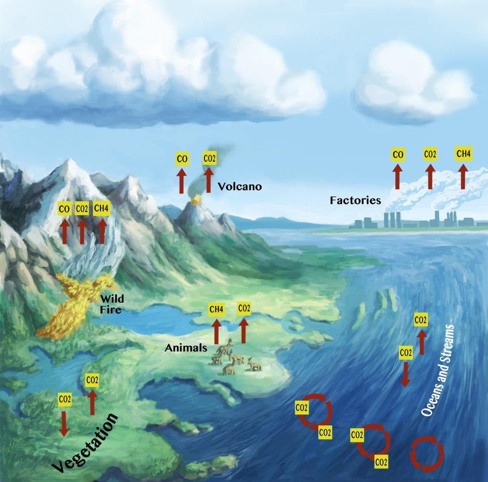 Carbon Cycle Fine Art Print by Spencer Sutton | Science Source