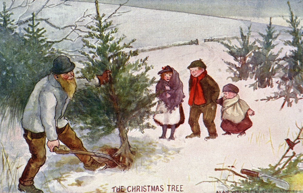 The Christmas Tree Fine Art Print - Mary Evans Picture Library