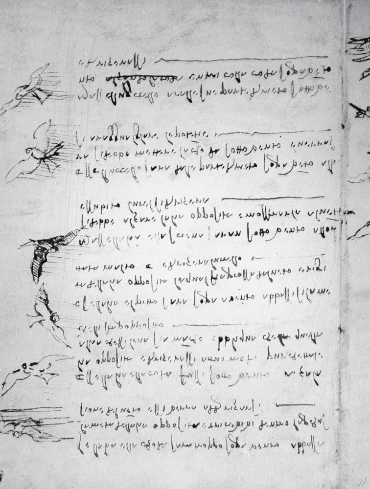 Drawings of Birds in Flight and Mirror-Writing by Leonardo Da Vinci - Fine Art Print