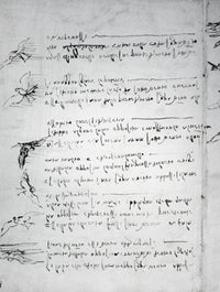 Drawings of Birds in Flight and Mirror-Writing by Leonardo Da Vinci - Fine Art Print