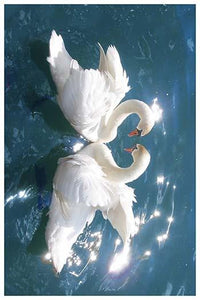Swans on Water Vintage Art Print - High Quality Reproduction