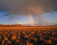 Nevada Desert Rainbow Photo Print by Panoramic Images - 16x12