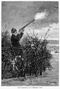 Duck Hunting Scene Fine Art Print - Canvas-Back Ducks on Chesapeake Bay