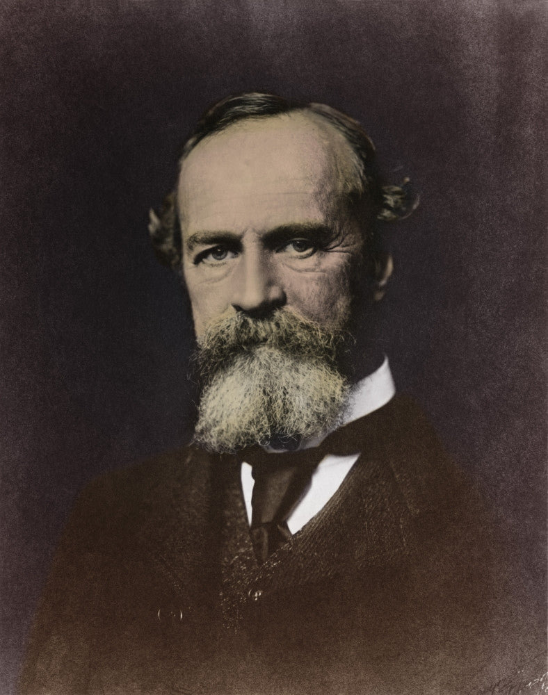 William James Fine Art Print - American Philosopher Poster