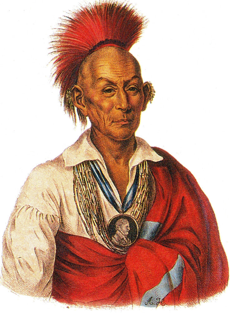 Black Hawk, Sauk Indian Leader Fine Art Print by Science Source