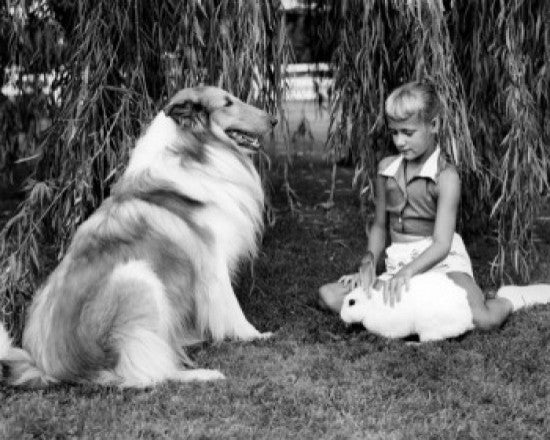 Girl with Rabbit and Dog in Garden Fine Art Print