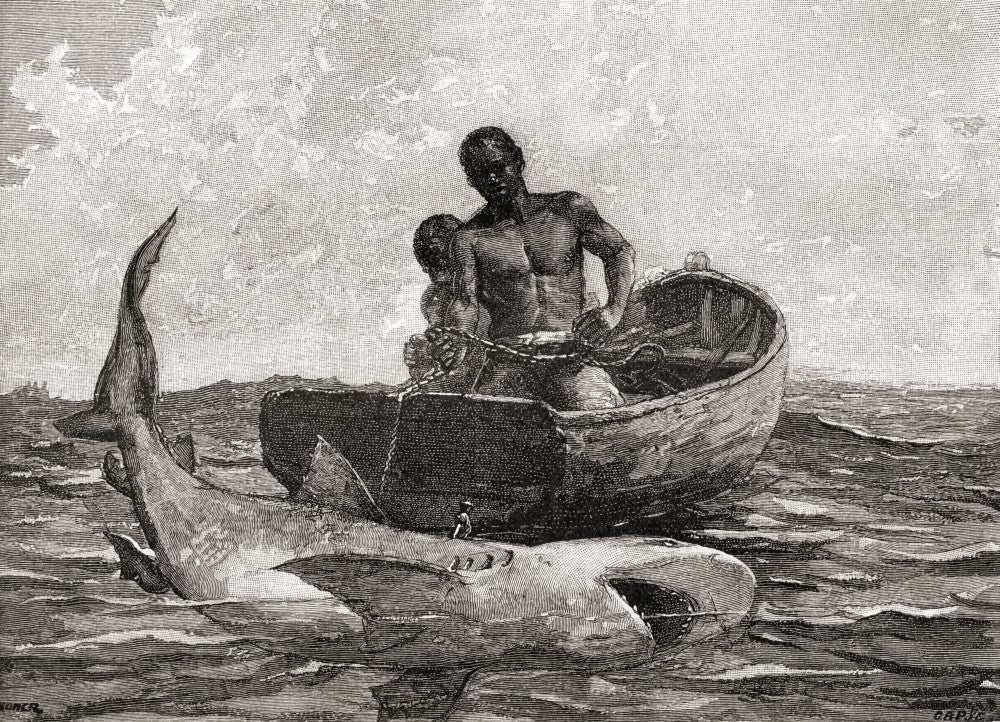 Shark Fishing Fine Art Print After Winslow Homer by Ken Welsh