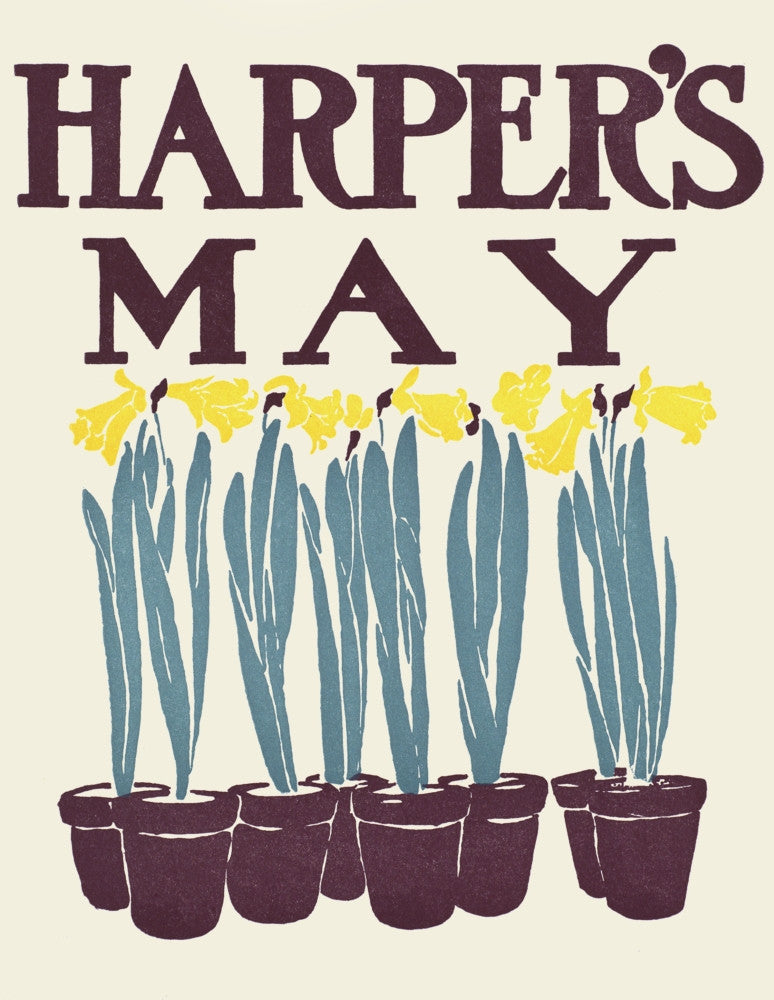 Eight Potted Daffodils Fine Art Print by Edward Penfield